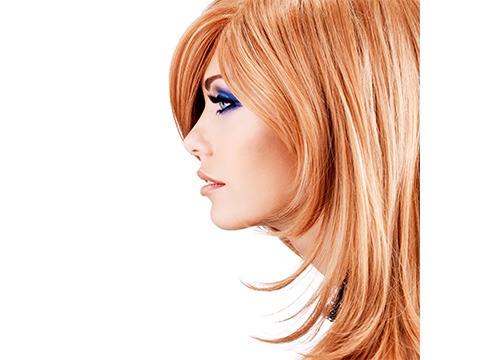 Copper brown base with golden blonde highlights Hair Color Idea